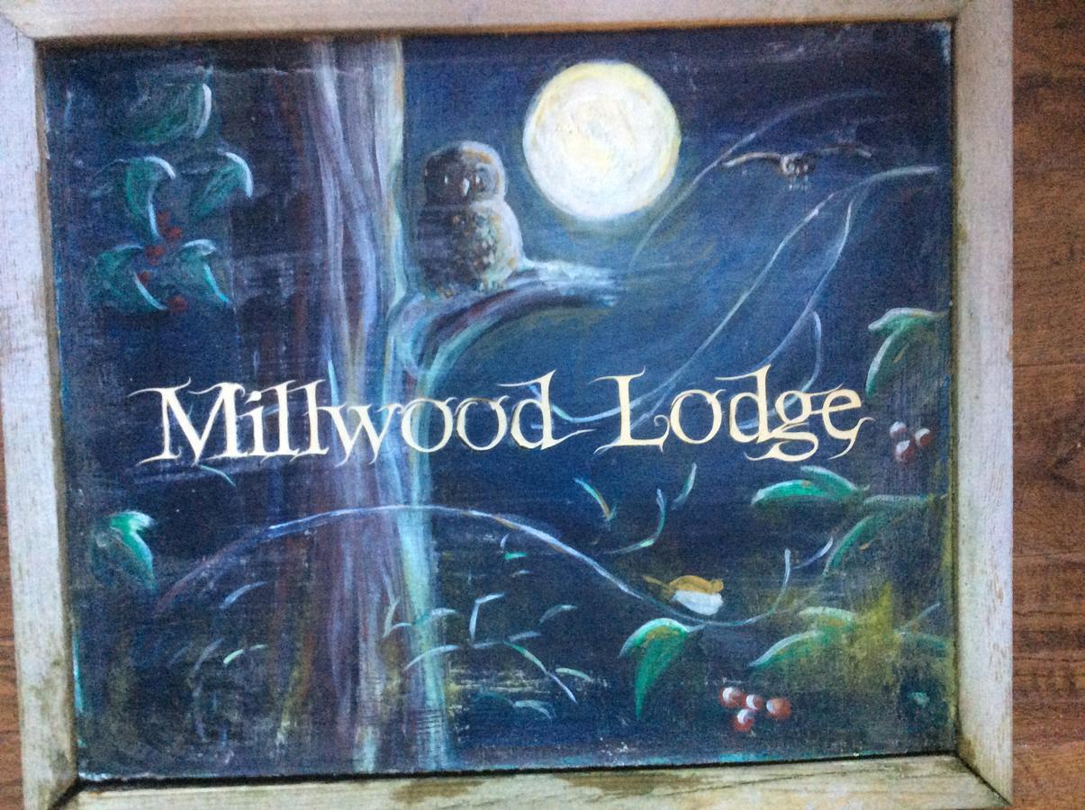 Millwood Lodge Барроу-ин-Фернесс Экстерьер фото